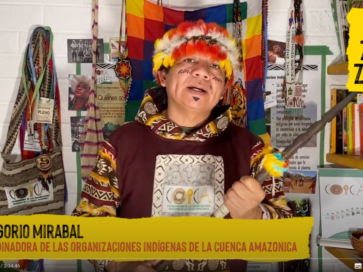 Festival ¡Amazonizate! unió a 86 artistas de varios países en la defensa de la Amazonía