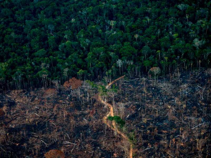 O decênio decisivo da Amazônia. Propostas de ação política