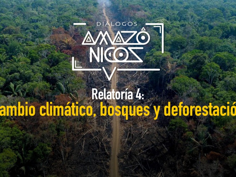 Cambio climático, bosques y deforestación