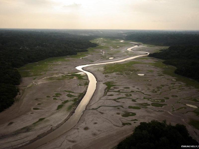 La Amazonía agoniza por la sequía